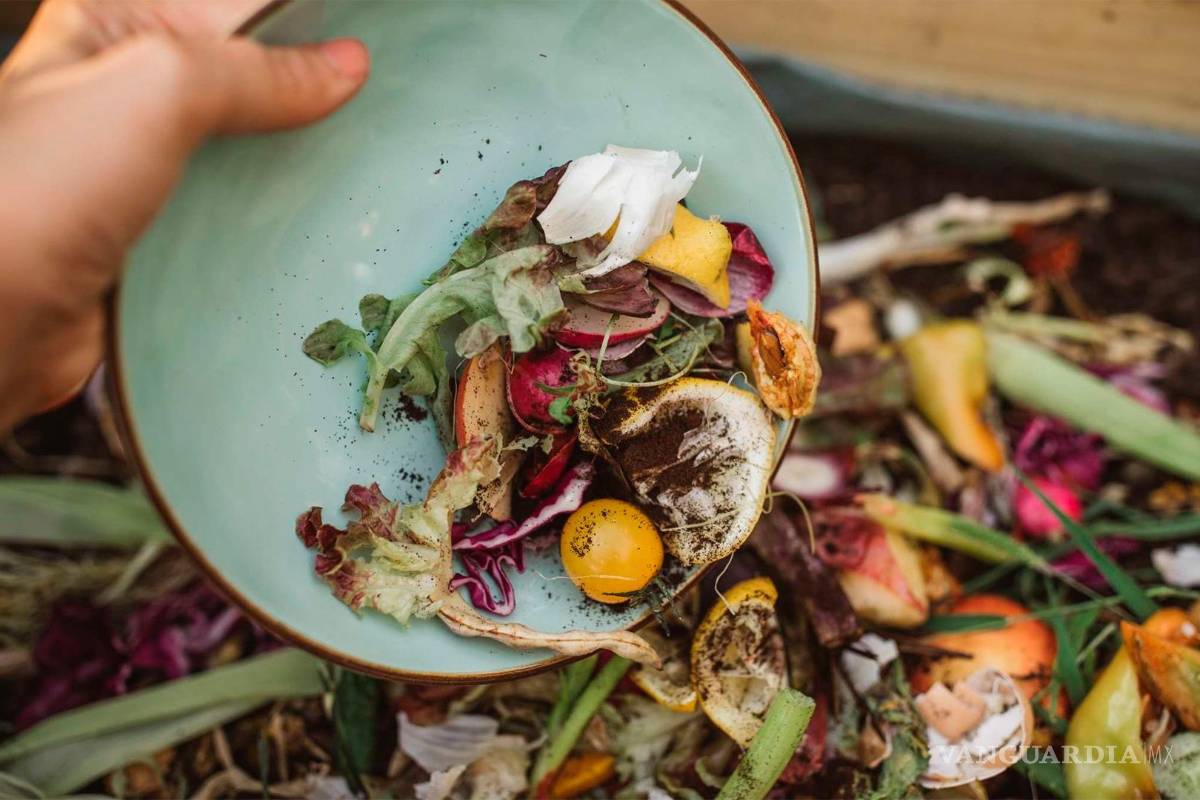 Nutrióloga de Acuña llama a cuidar la comida, al año desperdicia el mundo mil millones de platillos