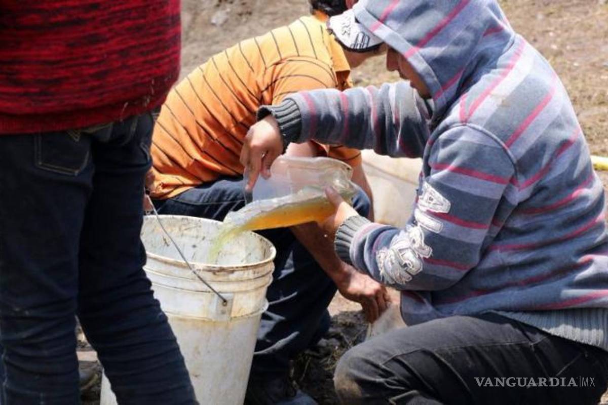 Huachicol: ¿Atenderá Claudia última llamada?