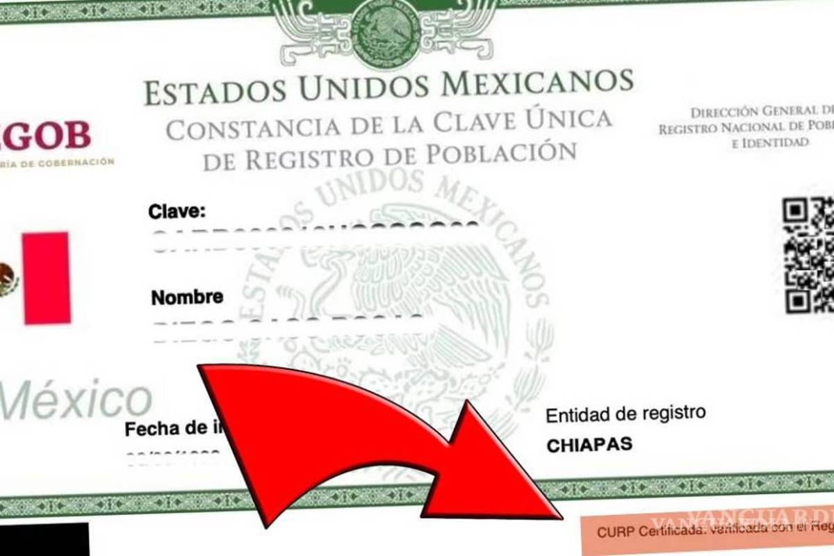 ¿Te piden la CURP Certificada?... qué es y cómo se tramita este documento en este 2024
