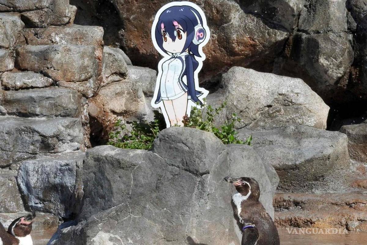 Murió Grape-Kun, el pingüino que se enamoró de una chica animé