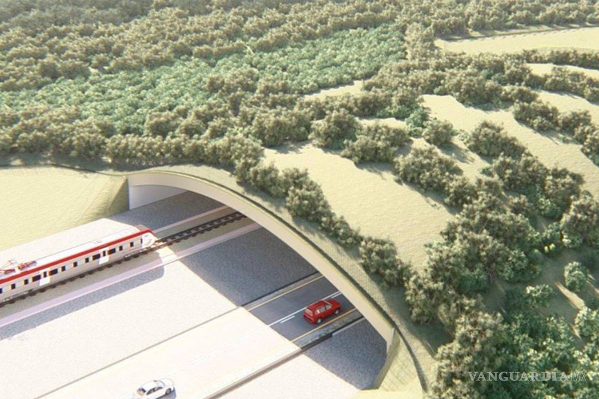 Obra de Tren Maya, 17.5 mil mdp más cara que en enero ahora es menos rentable