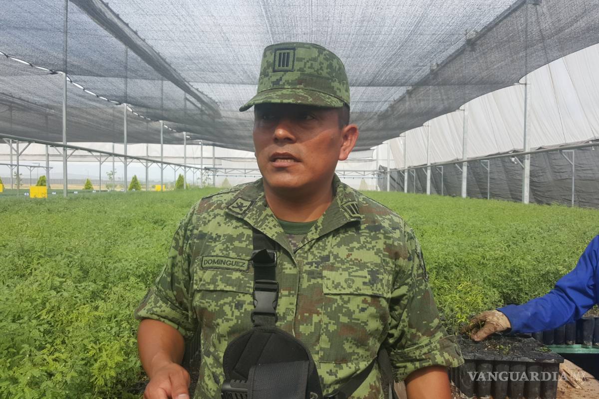 $!Vivero militar de Frontera producirá 2.5 millones de plantas
