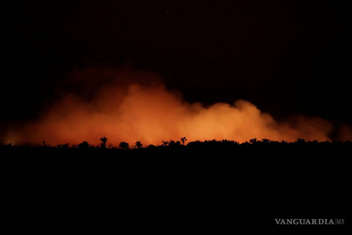 #PrayforAmazonia: Ricky Martin y Leonardo Dicaprio exigen acciones y difusión para salvar el Amazonas