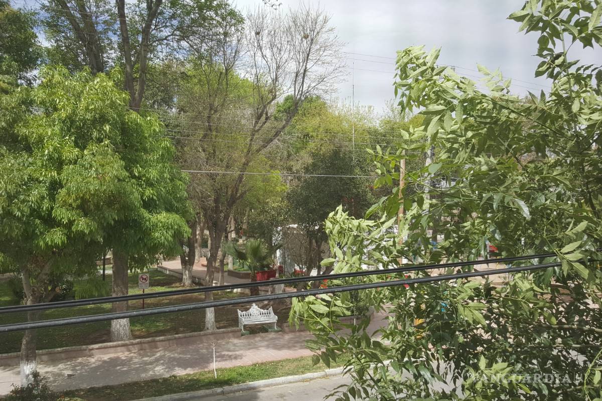 Inicia temporada de tolvaneras en la Comarca Lagunera