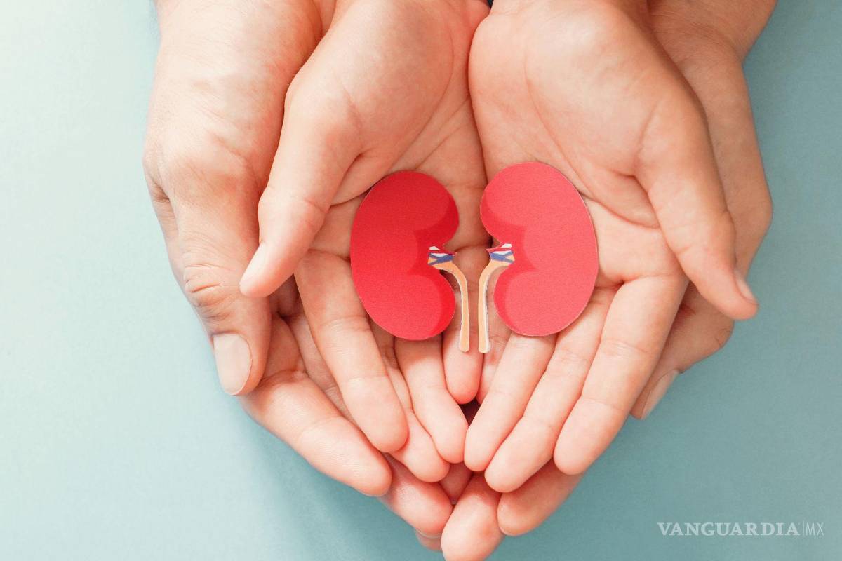 Con ‘números rojos’, Coahuila figura entre los estados con menor cultura de donación de órganos: IMSS