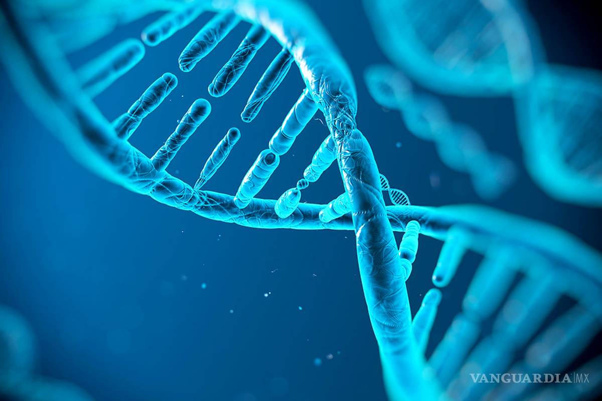 Logran crear ADN sintético; rediseñar el humano, propósito final