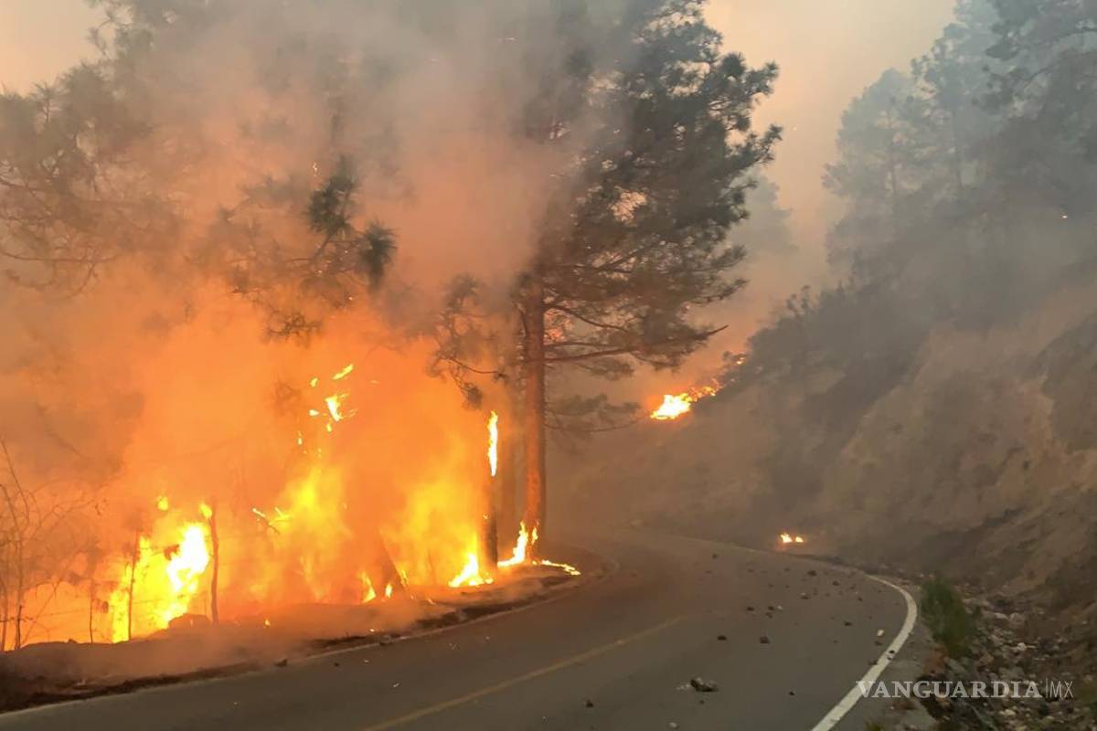 Será incendio inspiración para muralistas en La Jacinta, Santiago, Nuevo León