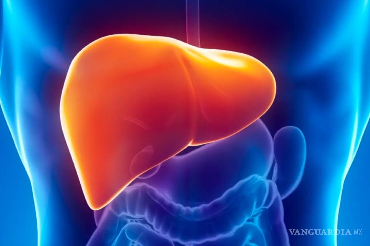 Existen 325 millones de personas enfermas de hepatitis: OMS