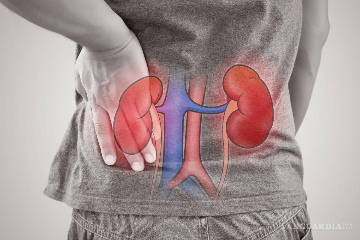 Coahuila: hipertensión arterial, factor de riesgo para la insuficiencia renal crónica