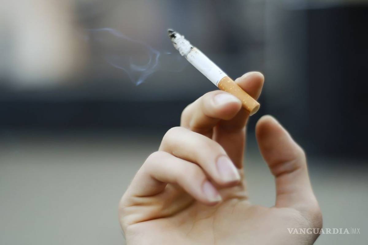 Si viajas a París y eres fumador ya no puedes hacerlo en sus parques y jardines