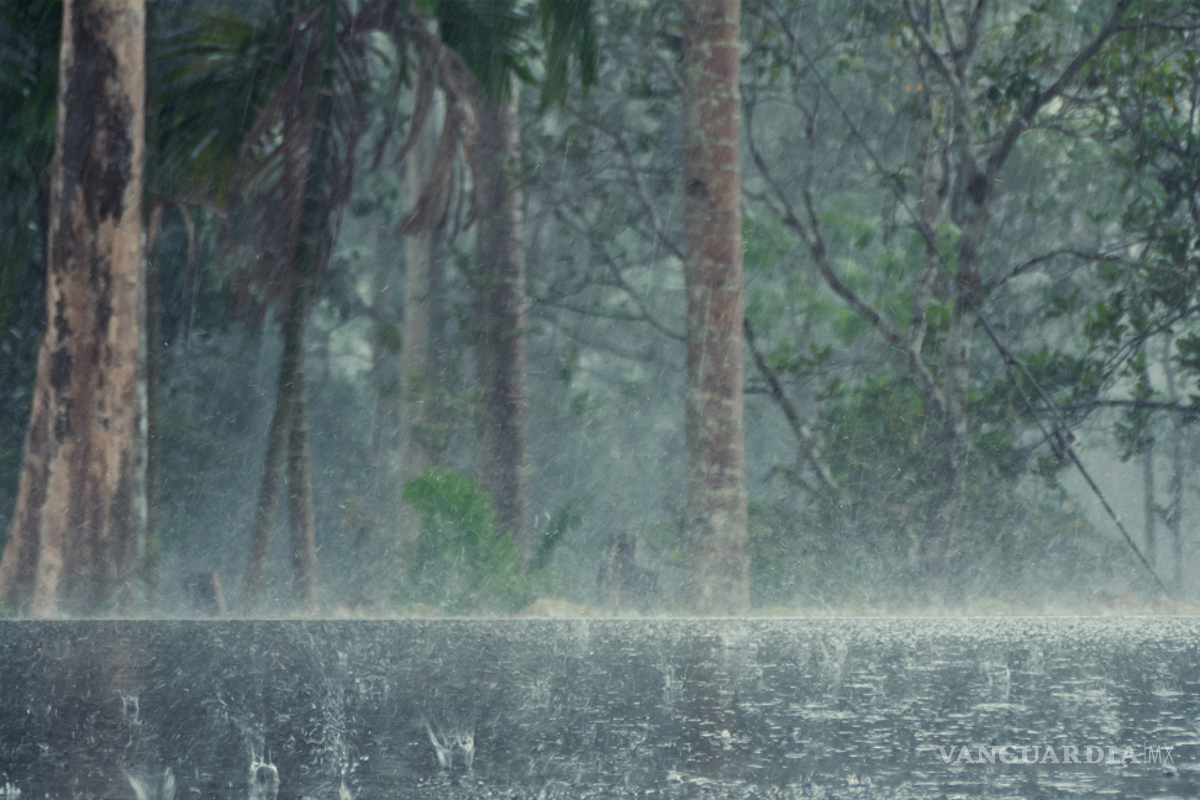 Frente frío 24 entra a México con lluvias, vientos y posible nieve en el norte del país