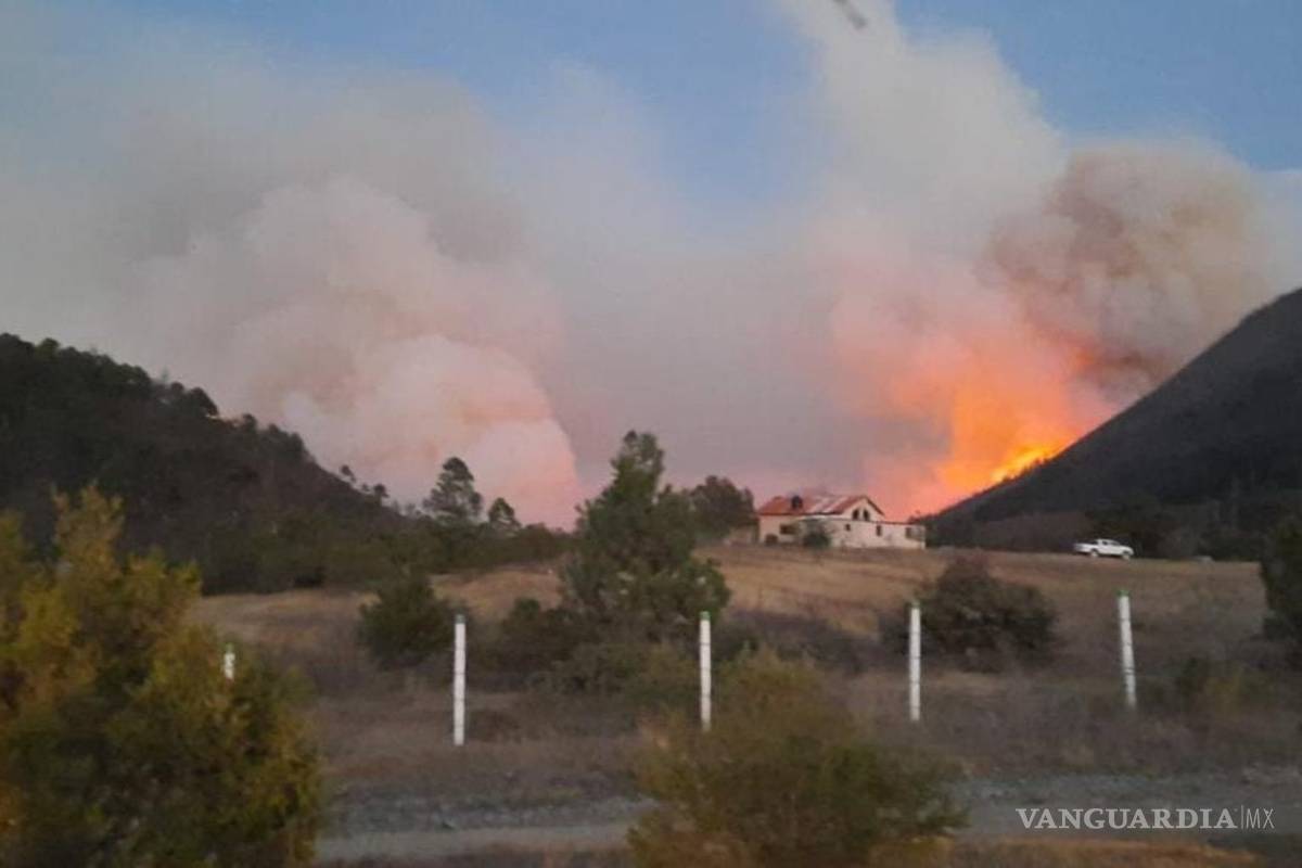 Sigue estancada investigación por mega incendio en La Pinalosa
