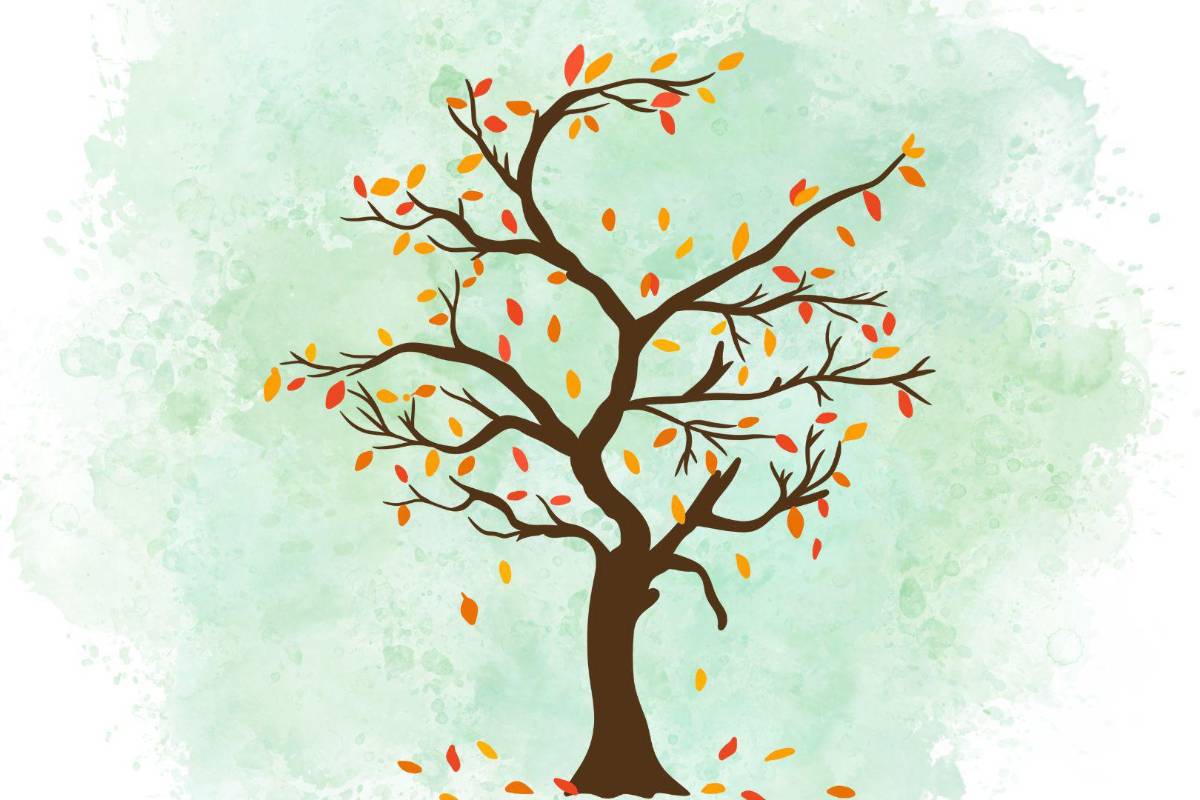 Solo son las hojas de encimita las que se están cayendo. La planta no se está muriendo. Y, no hay de pistache. Escoge otra cosa