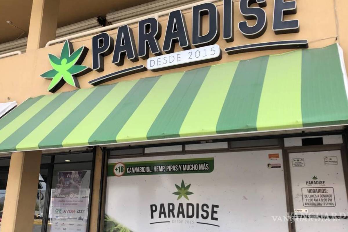 Saltillo: consumidores de mariguana ven más seguro comprarla en Paradise... aunque sale del presupuesto