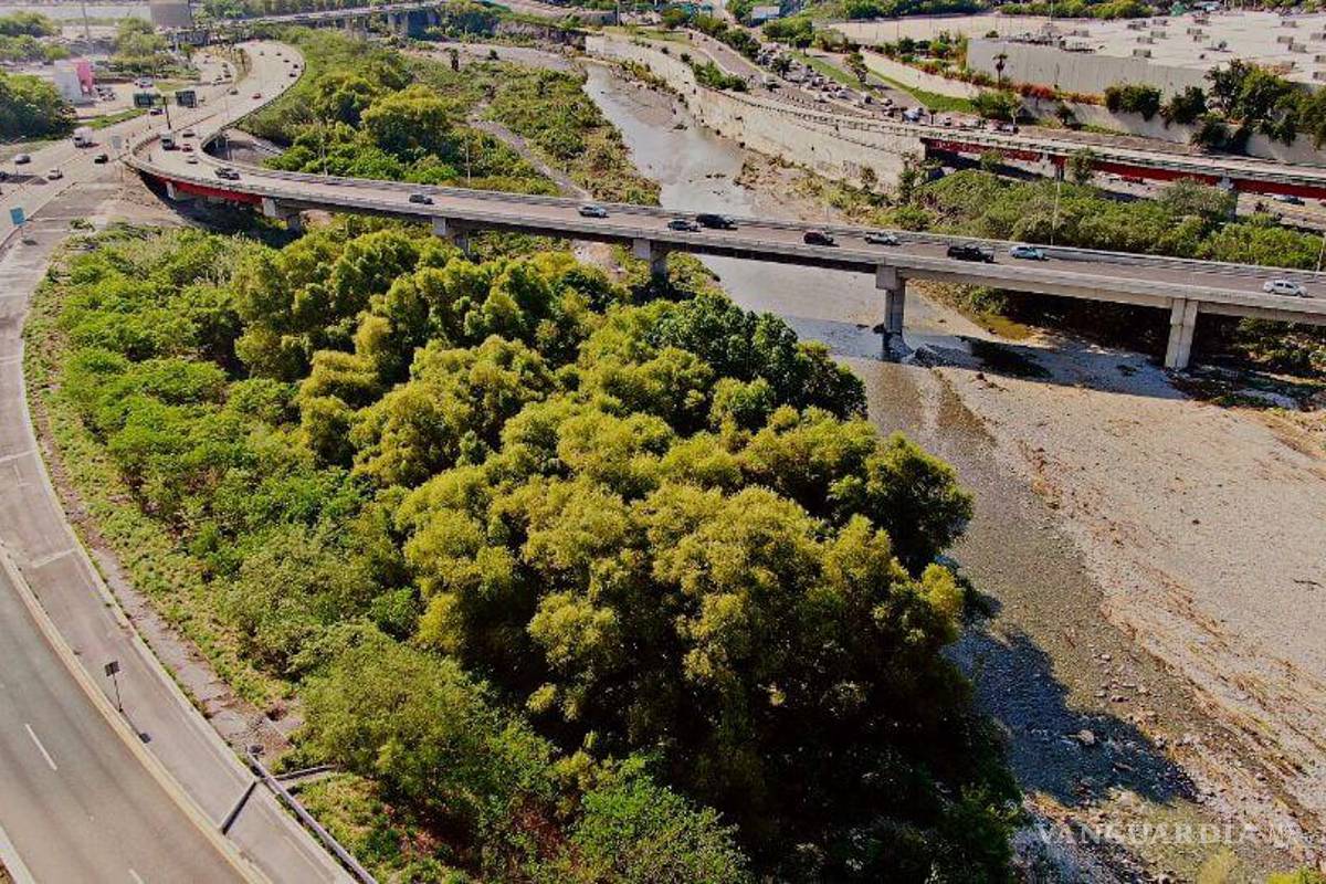 $!Las autoridades no han dicho cómo van a compensar estos servicios ambientales que aporta el mayor bosque urbano de la zona metropolitana de Monterrey