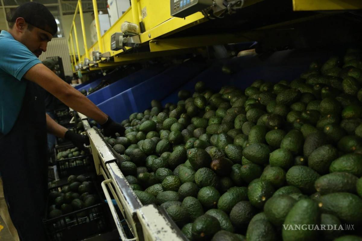 Inflación anual llega a 7.58% en primera quincena de mayo; tomate y aguacate por las nubes