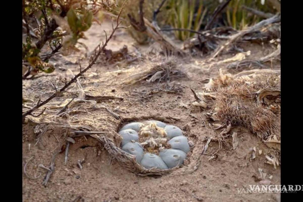 Suman dos señalamientos por violencia de género contra maestro de la EAP en Saltillo