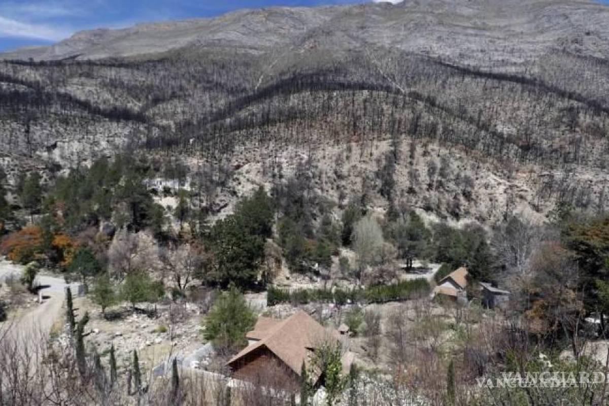 Arteaga: FGR habría absuelto a posible responsable de incendio en La Pinalosa