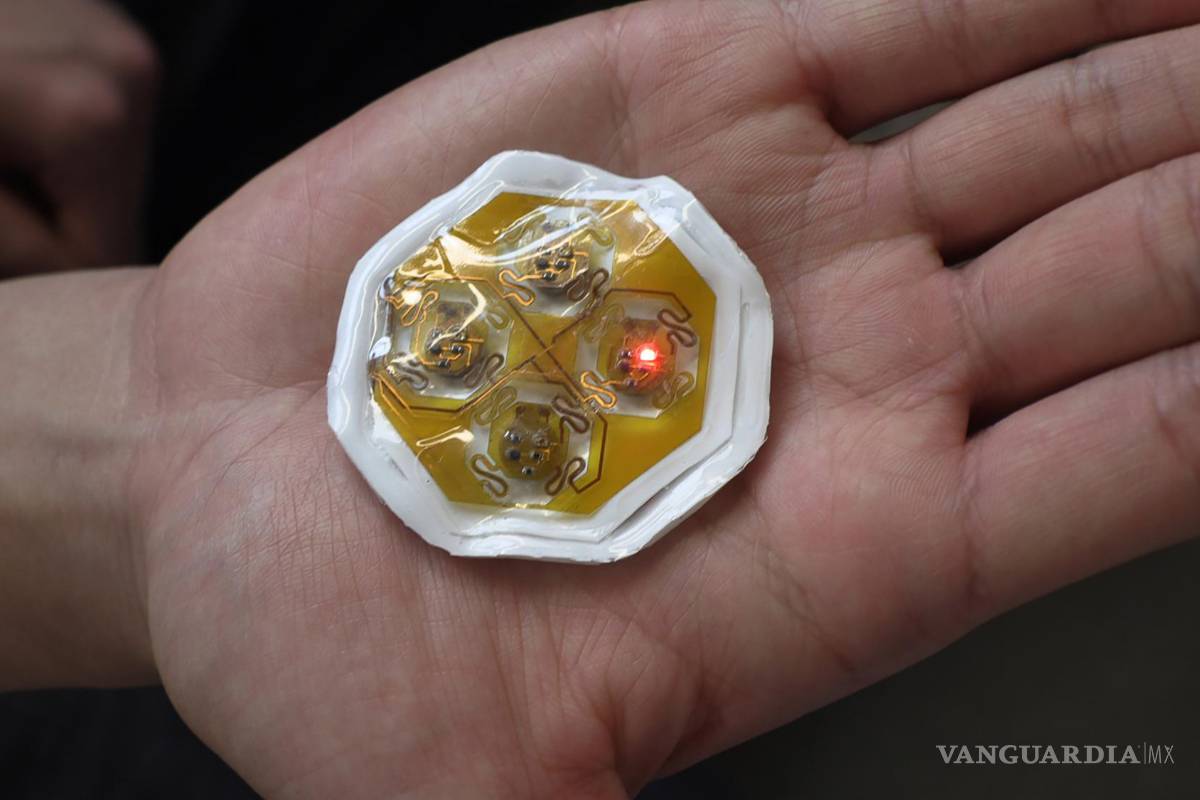 $!Parte inferior del dispositivo de retroalimentación háptica.