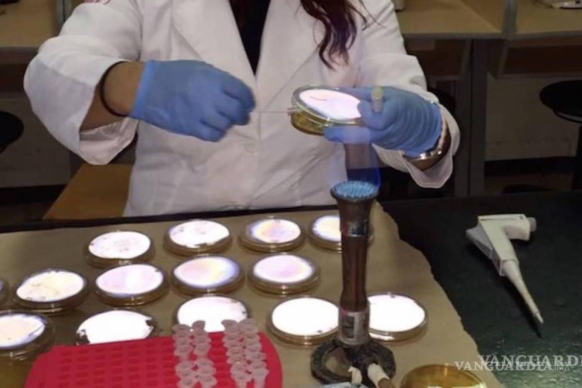 Aumenta UAdeC presencia de investigadores en el SNI; se incrementa 90 por ciento de 2018 a la fecha