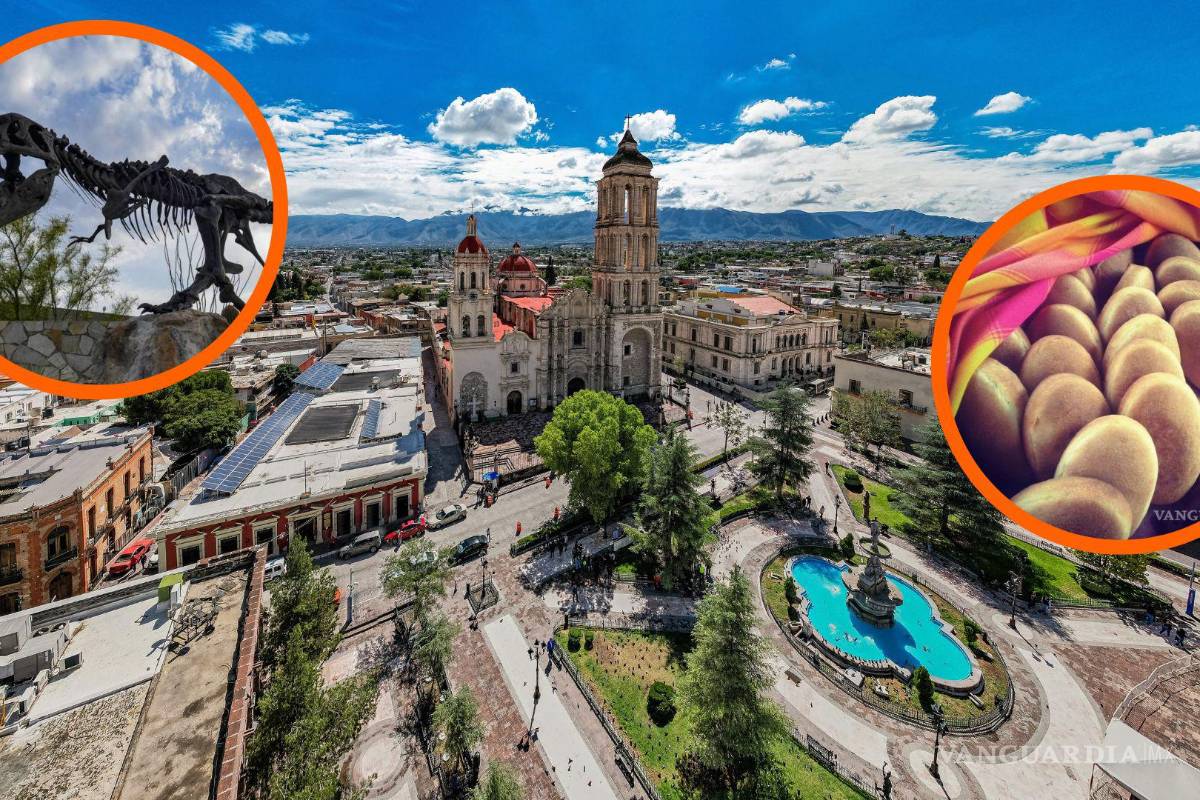 Ir al Centro Histórico, al MUDE y degustar un buen taco, esto recomiendan nuestros lectores a los visitantes de Saltillo