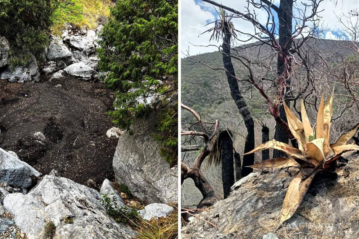 A 60 días del incendio, captan en video ‘río de cenizas’ en el Cañón de San Lorenzo