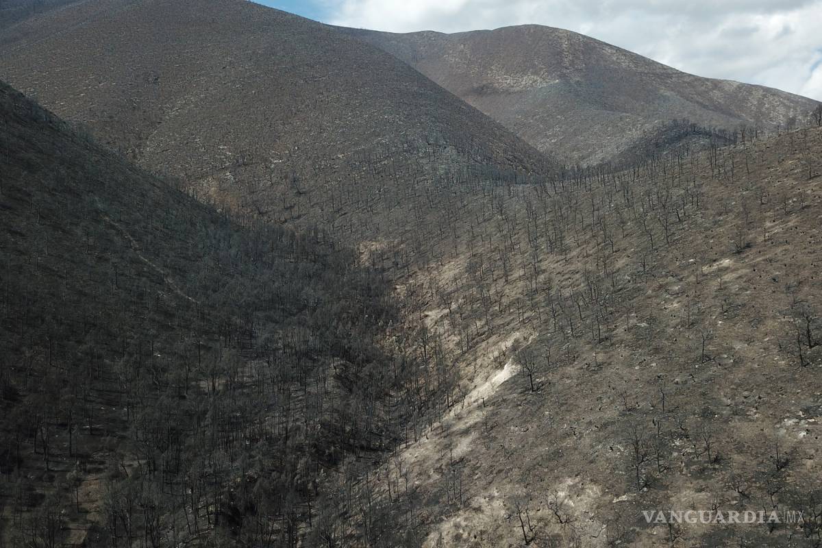 Apoyaron 170 brigadistas en el combate al incendio