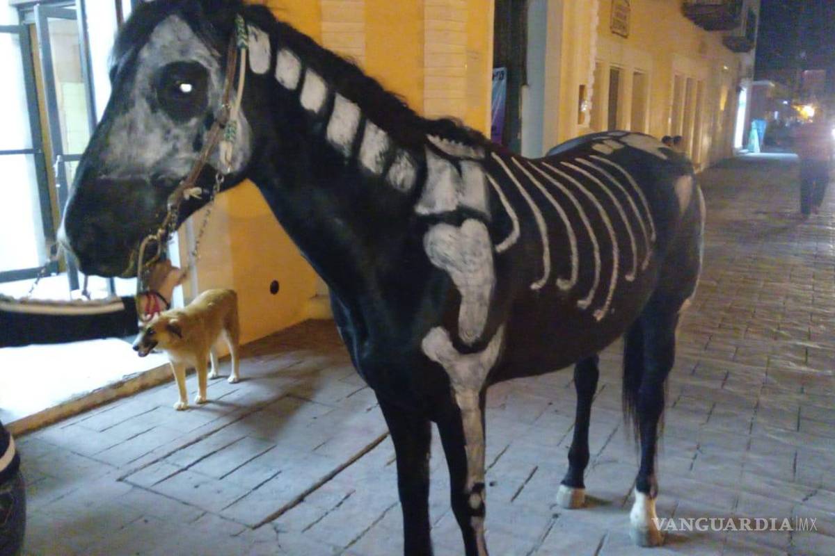 $!Un caballo disfrazado de esqueleto recorre las calles de Parras, sorprendiendo a los asistentes durante la celebración de Halloween.