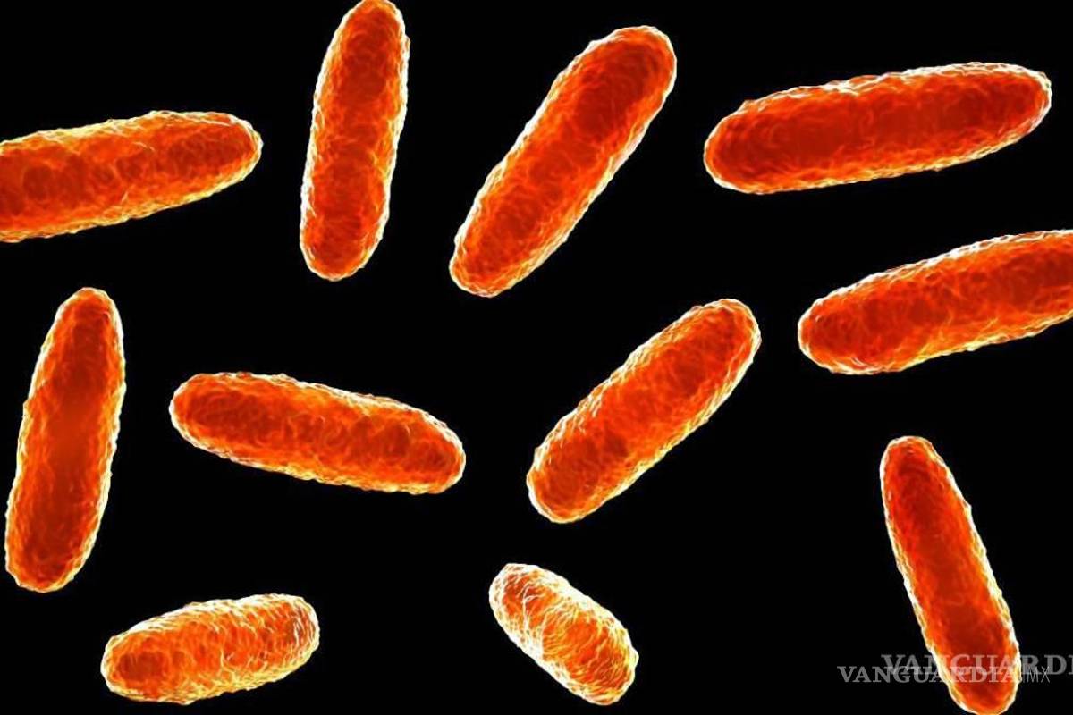 Confirman 8 casos de bacteria Klebsiella oxytoca en Michoacán; la mayoría bebés prematuros