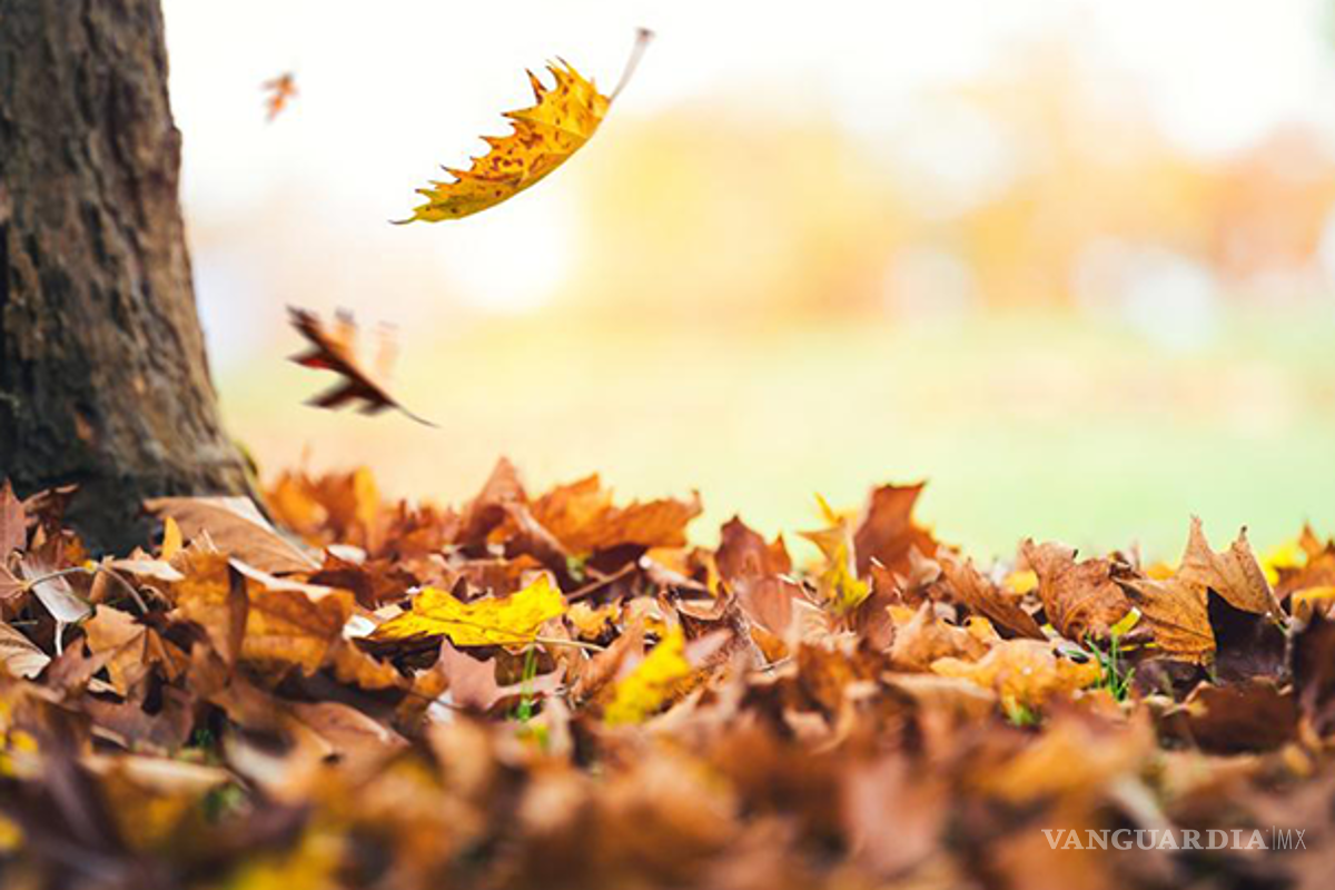Equinoccio 2022... ¿cuándo y a qué hora llegará el otoño a México?