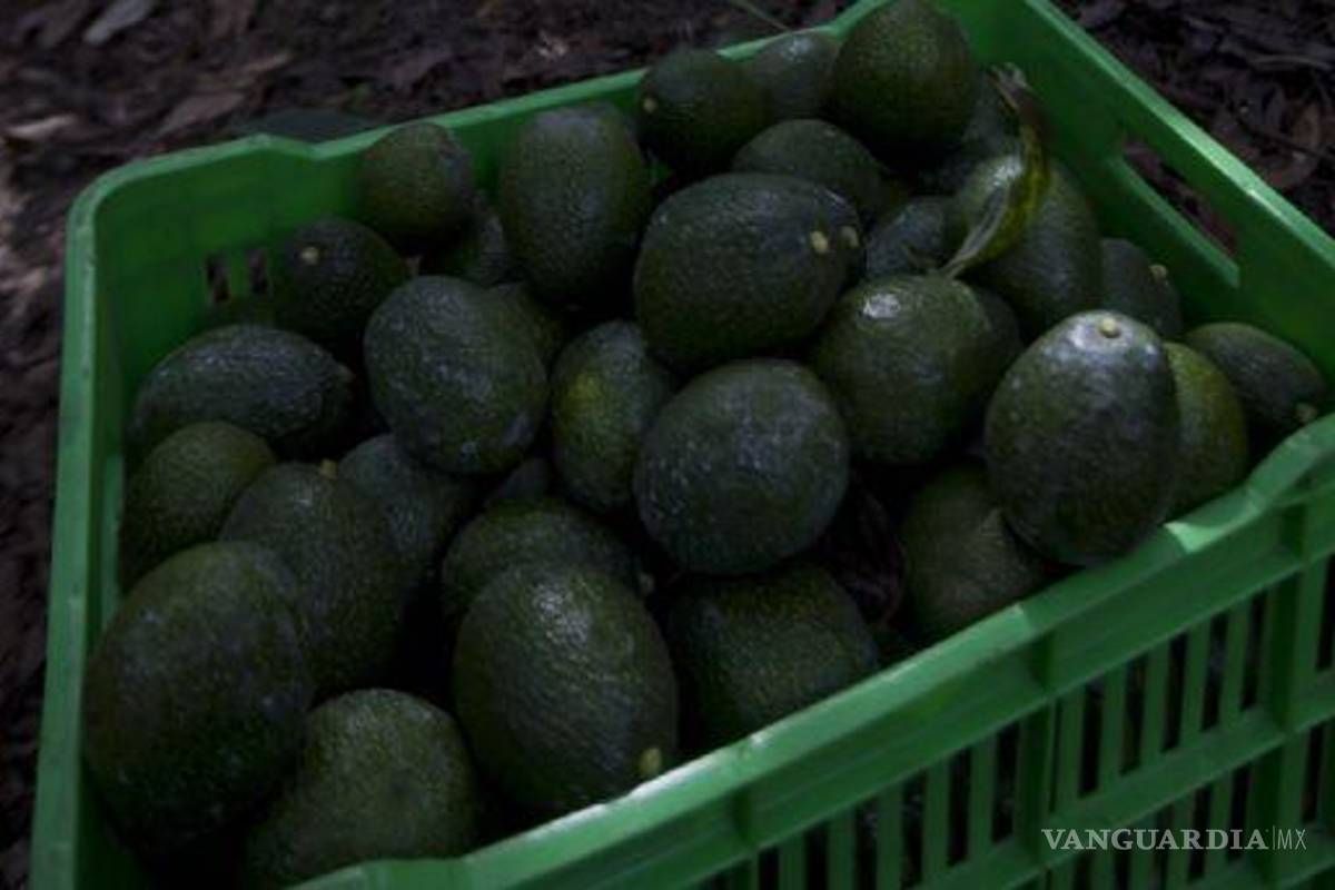 Inseguridad disparó los precios en productos agrícolas, denuncian