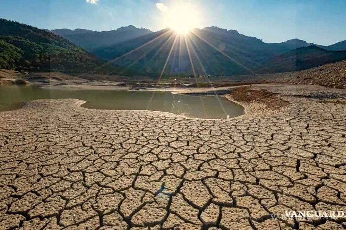 En un mes, la superficie afectada por la sequía en Coahuila disminuyó 25.1 por ciento