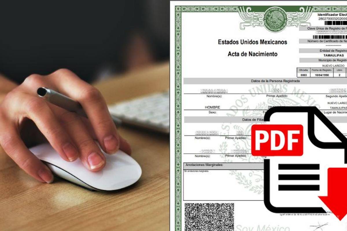 Acta de Nacimiento en línea... ¿Qué hago si no la encuentro en Internet para descargar en PDF en 2024?