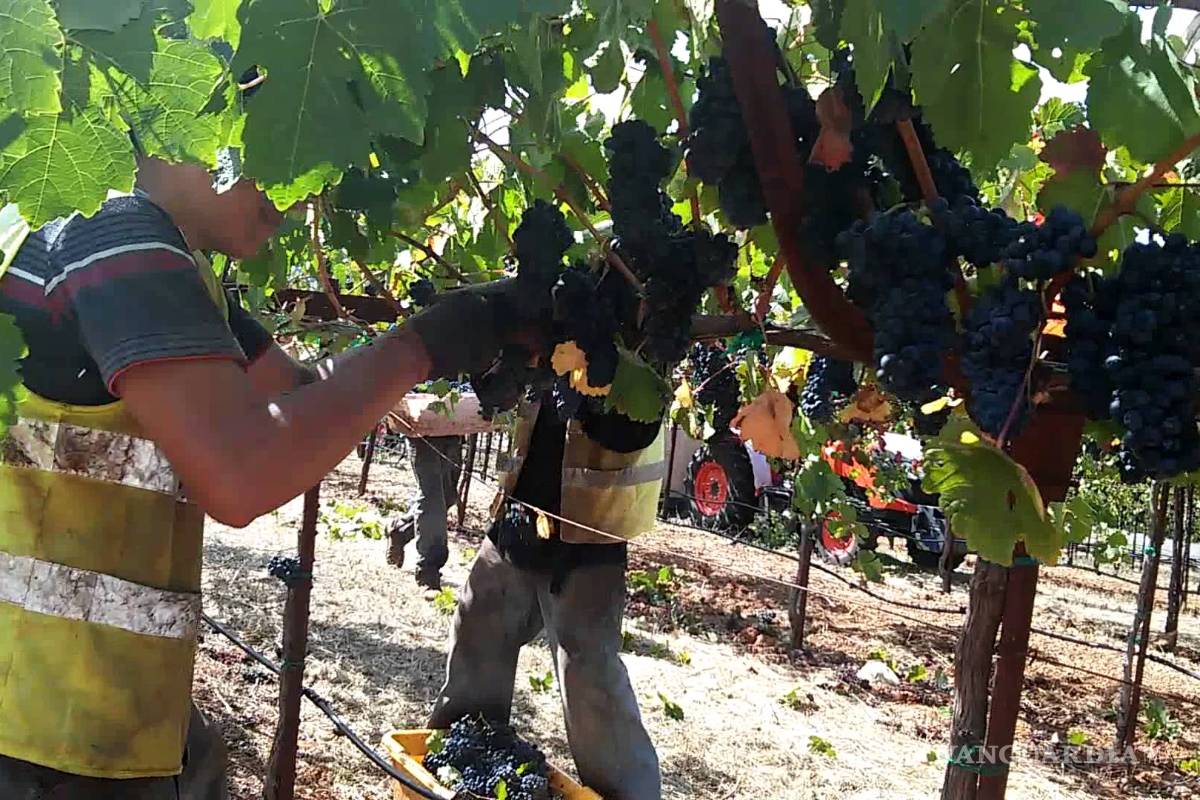 Trump no tiene quien le pizque las uvas, así que busca extranjeros