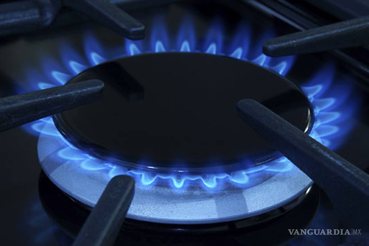Alto precio del gas natural es por falta de estrategia del Gobierno Federal: senador