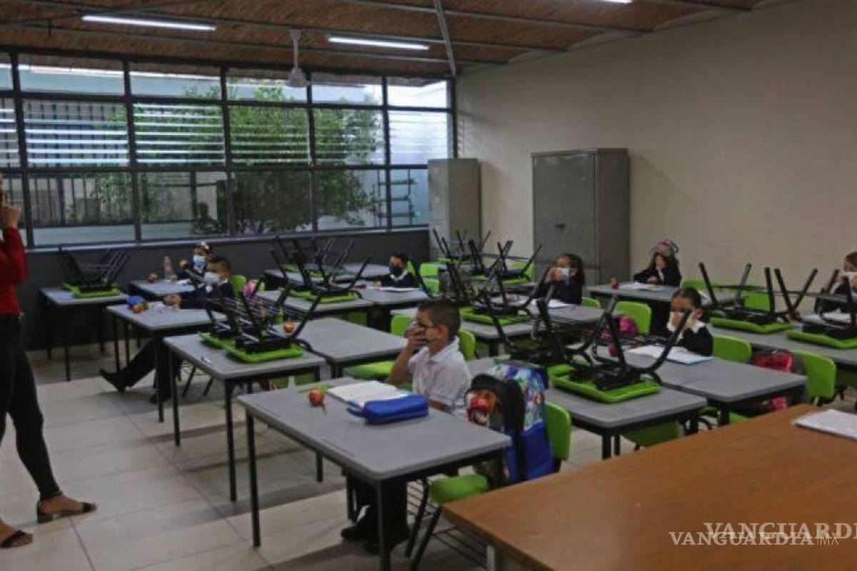 SEP pide no publicar información en materia educativa al INEGI; IMCO critica la petición