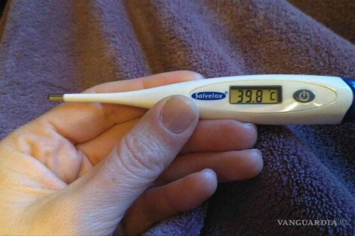 27 años sin casos de rabia humana en Coahuila