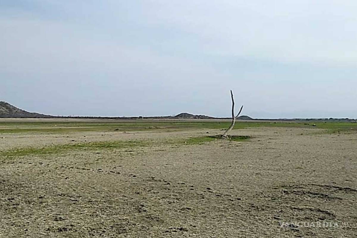 Presas en Nuevo León se vacían; advierten riesgo de falta de agua en Monterrey