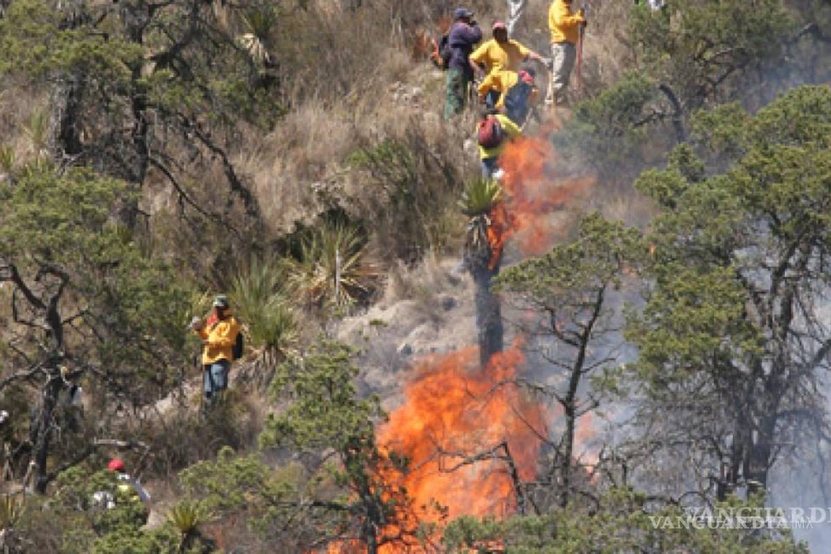 ‘Son unos héroes’; en redes sociales envían mensajes de aliento a brigadistas de Coahuila