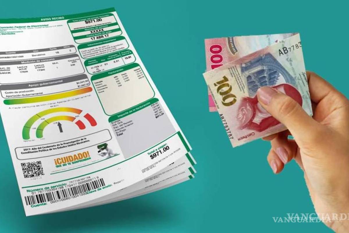 ¡Mucho ojo! Estos electrodomésticos gastan mucha luz y CFE recomienda desconectarlos cuando no se utilicen