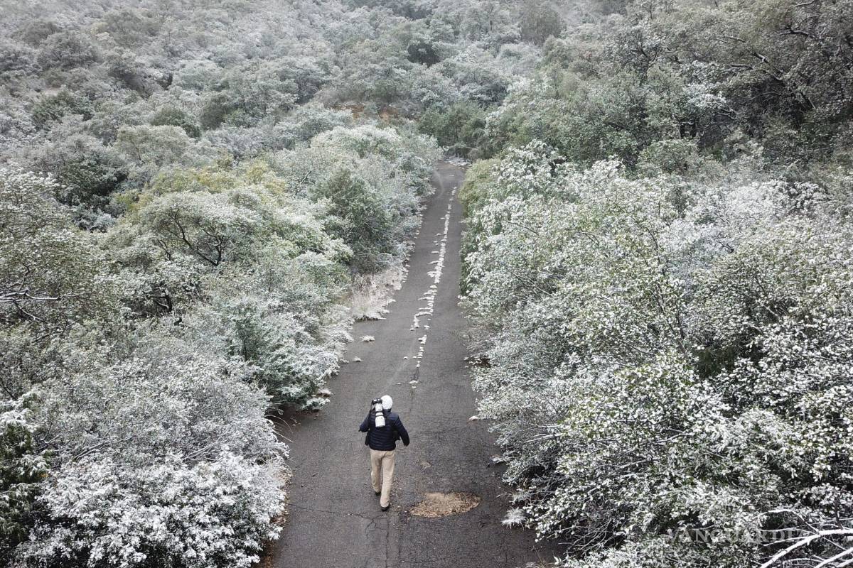Pronostican temperaturas congelantes en Coahuila por frente frío 17