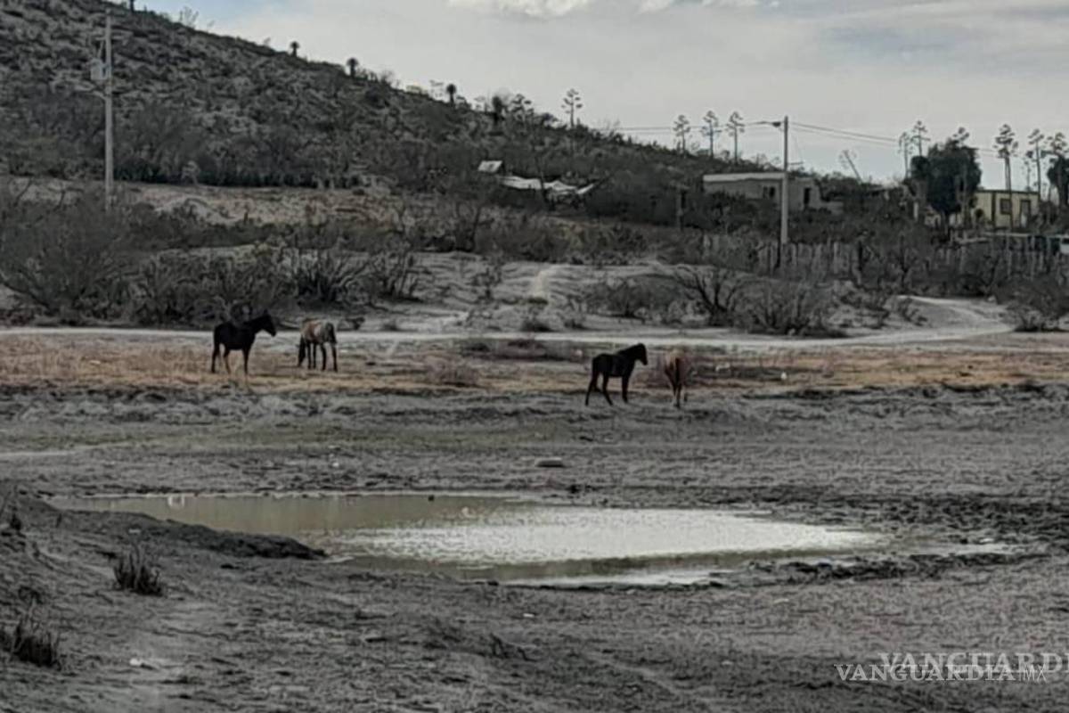 Ejidos de Saltillo se quedan sin agua para consumo humano