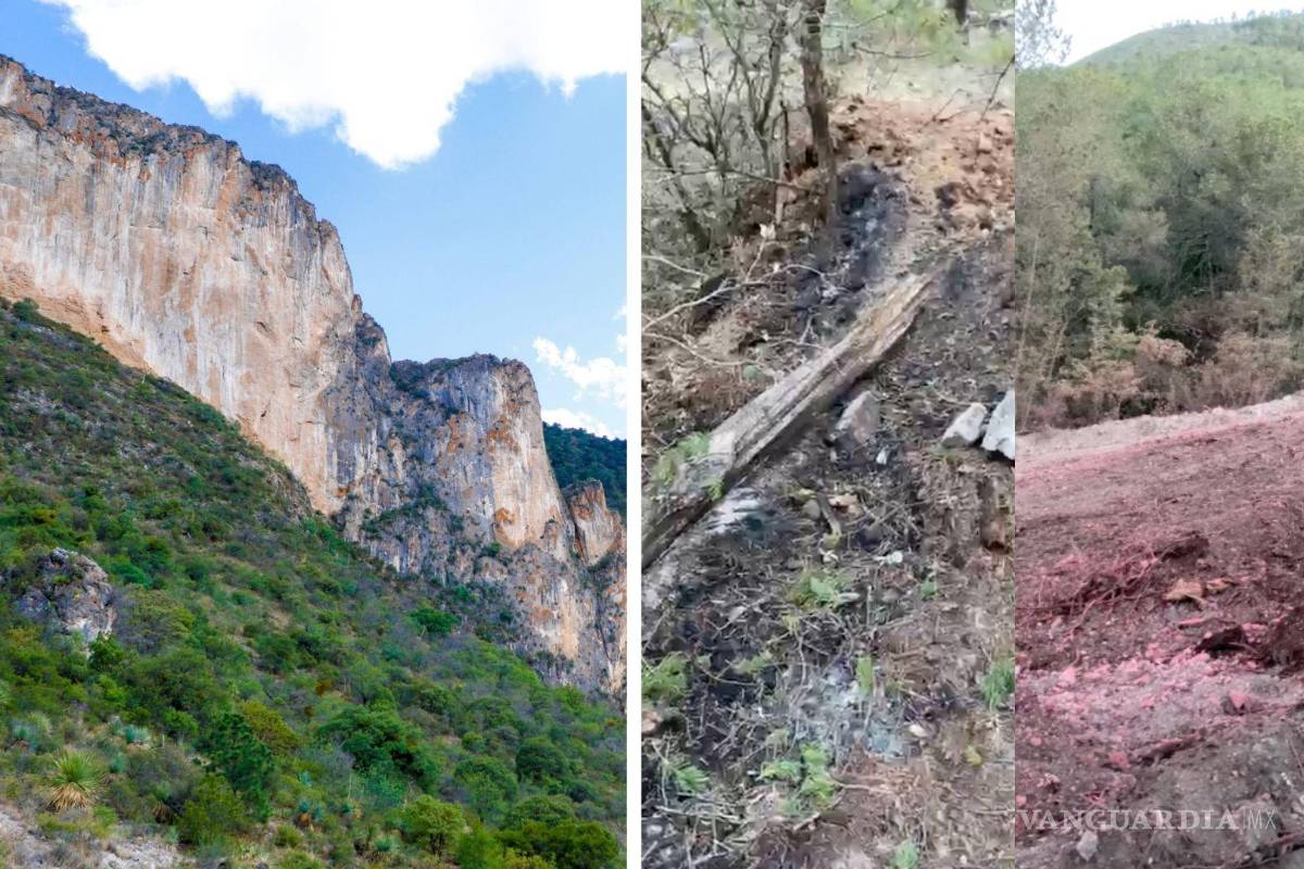 VIDEO: El antes y después del incendio en la Sierra de Zapalinamé