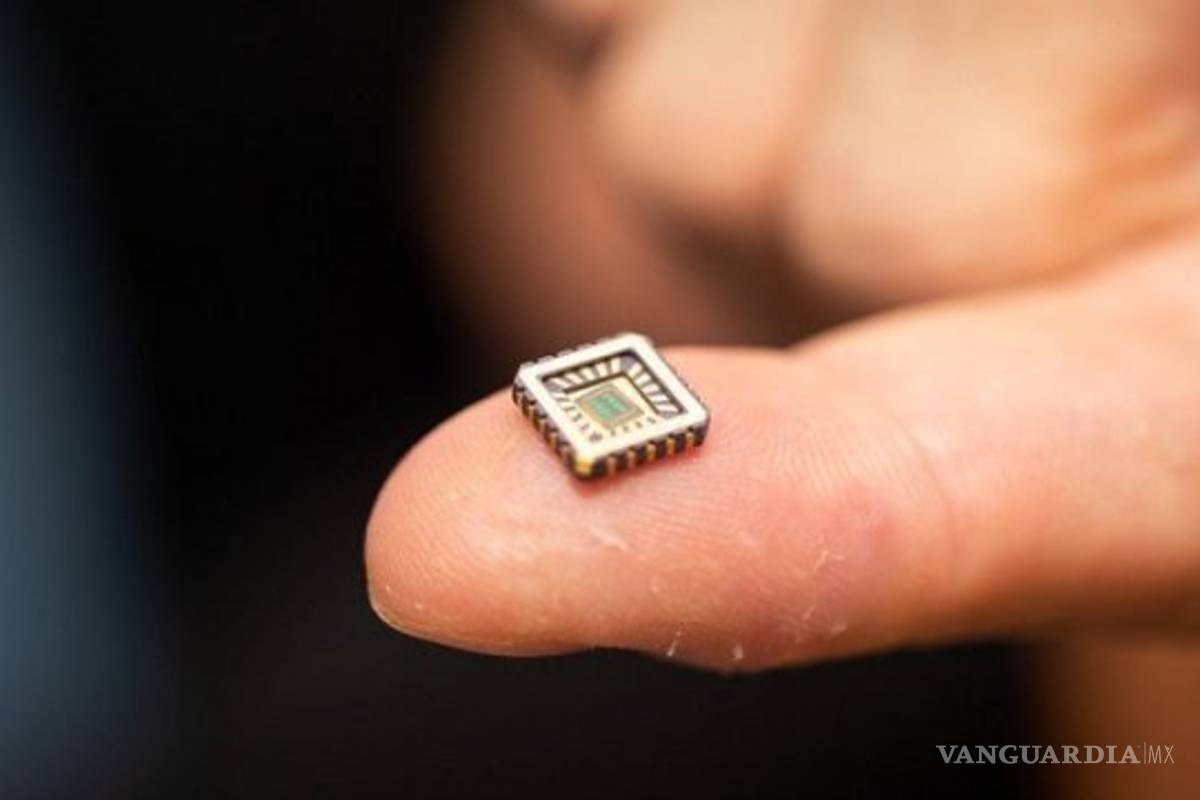 Con un chip podrían curar el Alzheimer, demencia y otras enfermedades