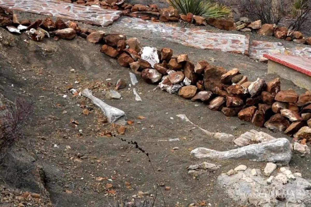 $!Reconocen a Rincón Colorado como importante ‘sitio de interés geológico’ a nivel global