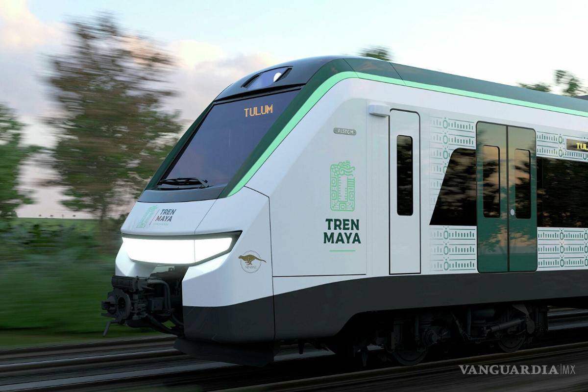 Renuncian tres directores de Semarnat por presiones de impacto ambiental por Tren Maya