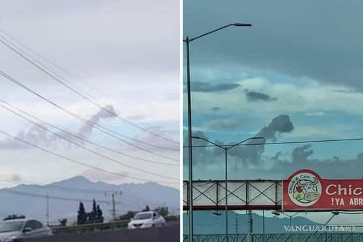 ¿Dinosaurios en el cielo de Saltillo? Comparten fotografías en redes sociales