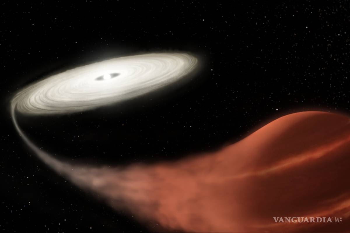 Descubren una estrella &quot;vampiro&quot; a unos 3 mil años luz de la Tierra