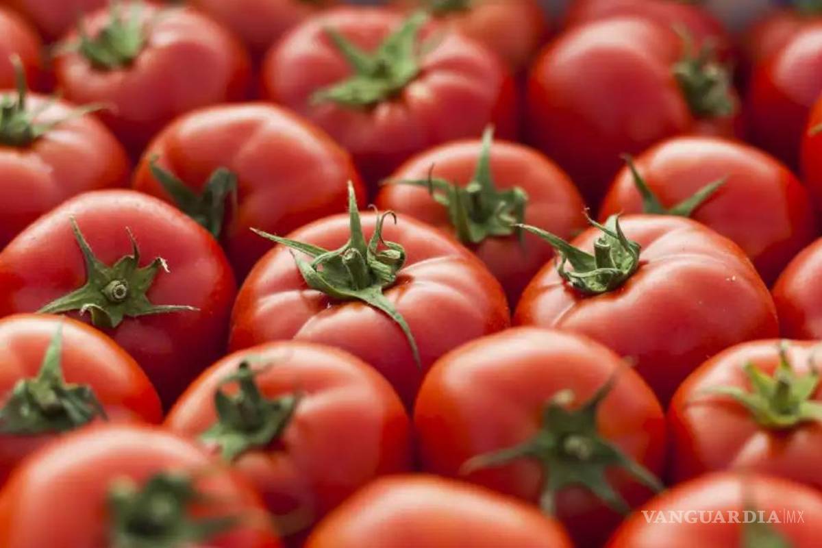 México responde con fuerza y unidad al arancel de Trump contra el jitomate