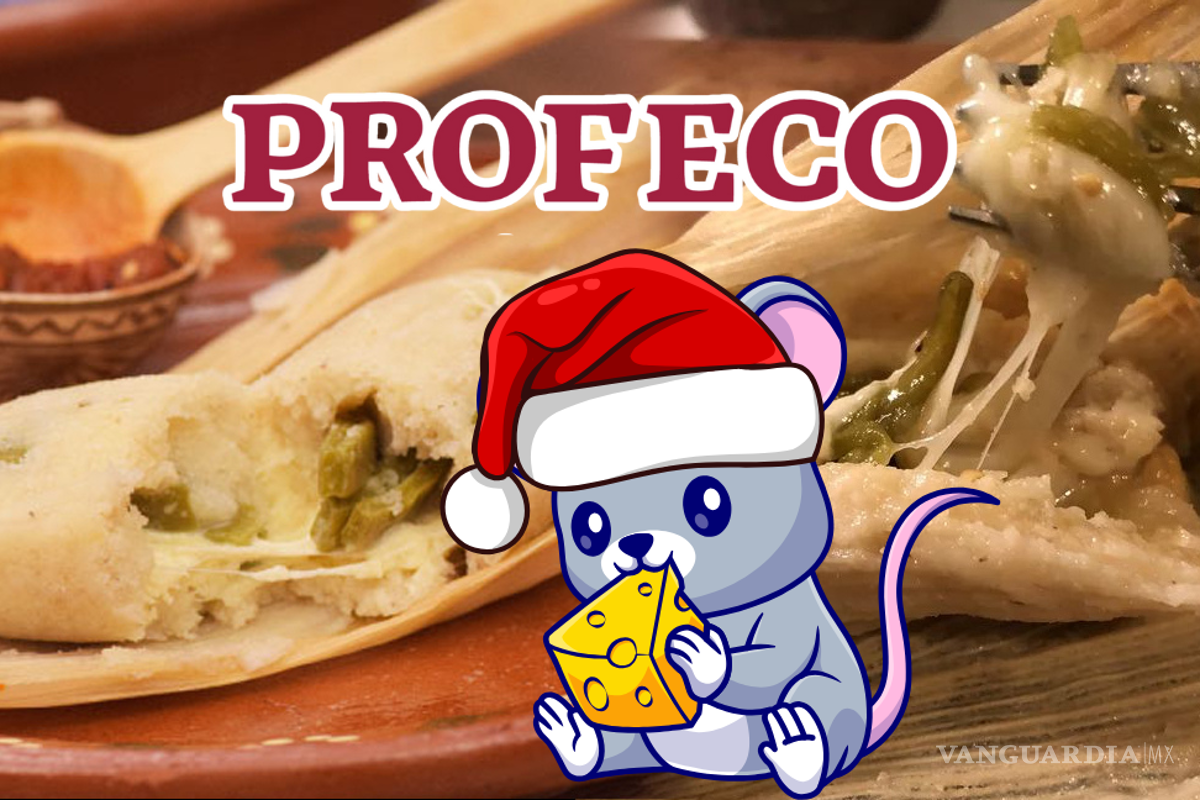 ¿Cuál queso Oaxaca comprar? Profeco revela las mejores marcas para esta Navidad 2024